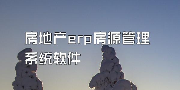 房地产erp房源管理系统软件