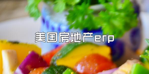 美国房地产erp