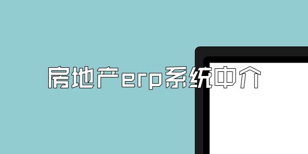 房地产erp系统中介