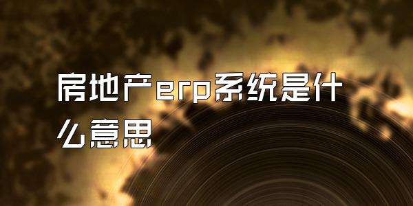 房地产erp系统是什么意思