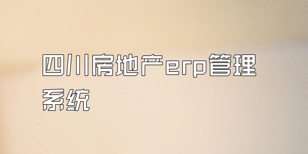 四川房地产erp管理系统