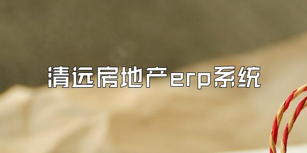 清远房地产erp系统