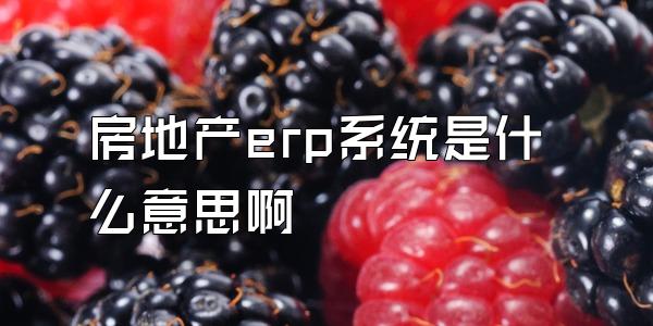 房地产erp系统是什么意思啊