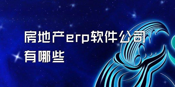 房地产erp软件公司有哪些