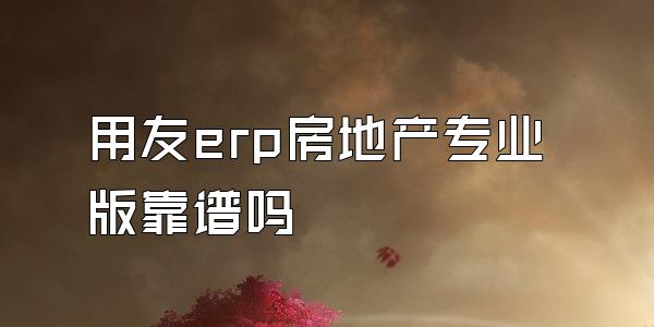 用友erp房地产专业版靠谱吗