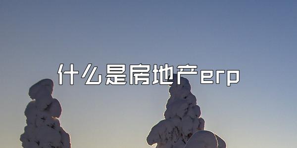 什么是房地产erp