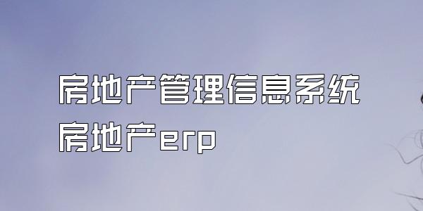 房地产管理信息系统房地产erp