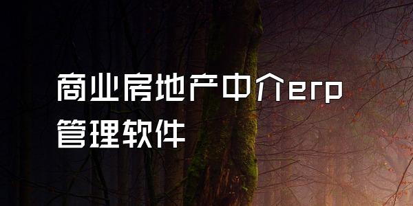 商业房地产中介erp管理软件