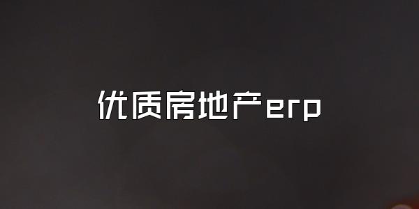 优质房地产erp