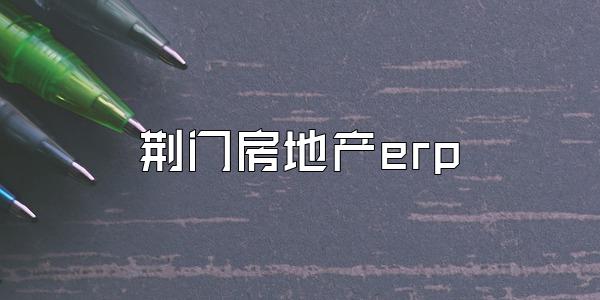 荆门房地产erp