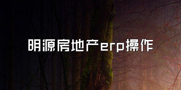 明源房地产erp操作