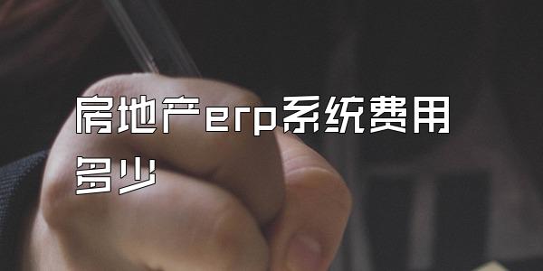 房地产erp系统费用多少