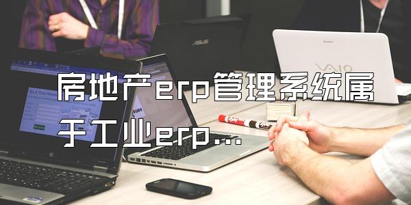 房地产erp管理系统属于工业erp吗