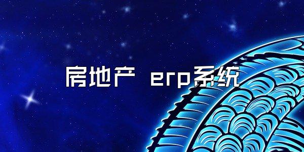 房地产 erp系统