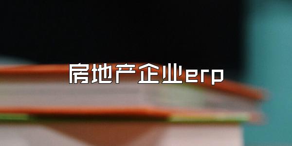 房地产企业erp