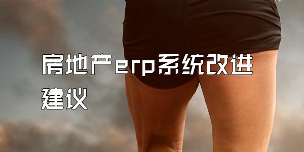 房地产erp系统改进建议