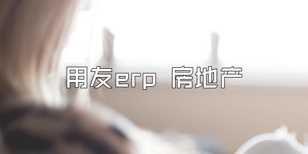 用友erp 房地产