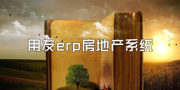 用友erp房地产系统