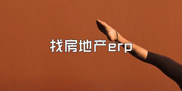 找房地产erp