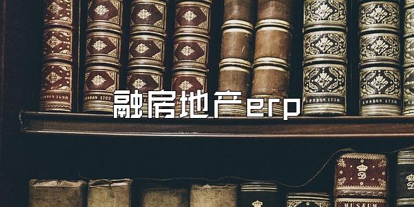 融房地产erp