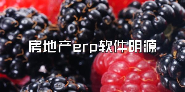 房地产erp软件明源