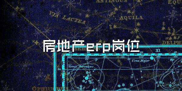 房地产erp岗位