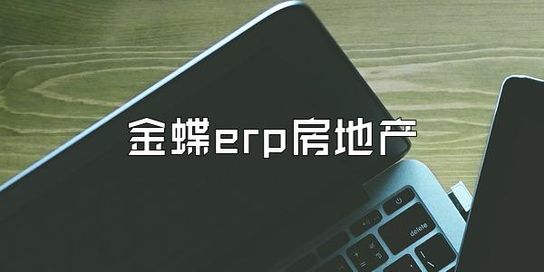 金蝶erp房地产