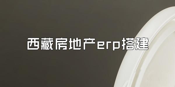 西藏房地产erp搭建