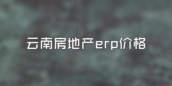 云南房地产erp价格