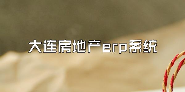 大连房地产erp系统