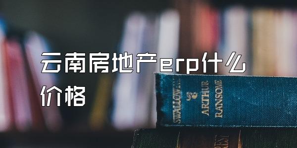 云南房地产erp什么价格