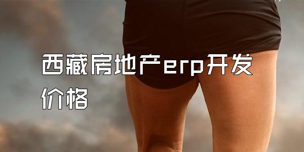 西藏房地产erp开发价格