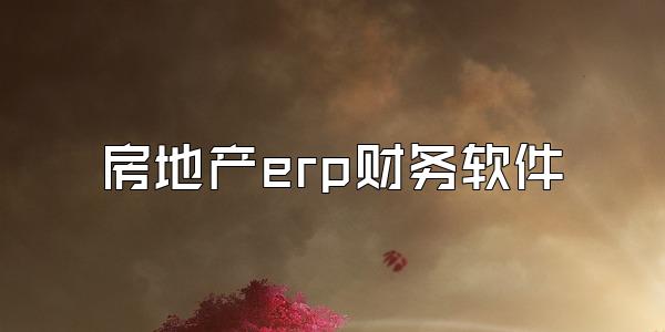 房地产erp财务软件