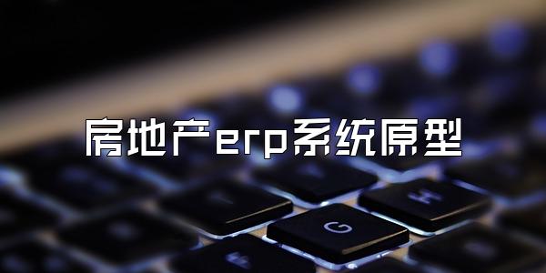 房地产erp系统原型