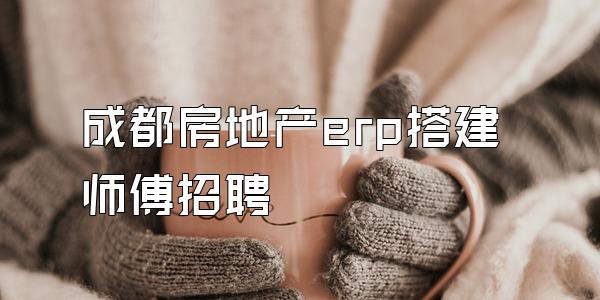 成都房地产erp搭建师傅招聘