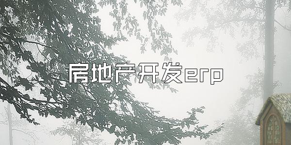 房地产开发erp