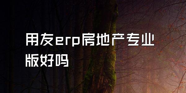 用友erp房地产专业版好吗