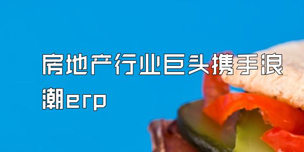 房地产行业巨头携手浪潮erp