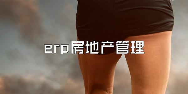 erp房地产管理