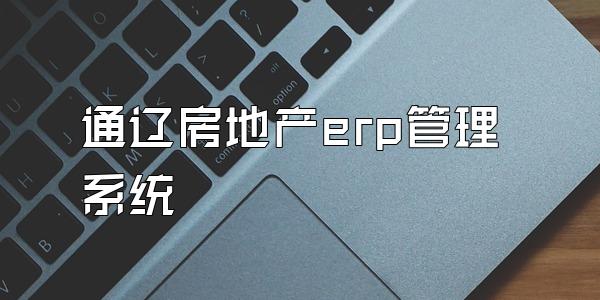 通辽房地产erp管理系统