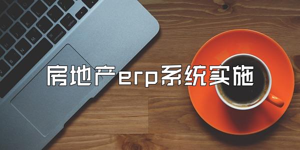 房地产erp系统实施