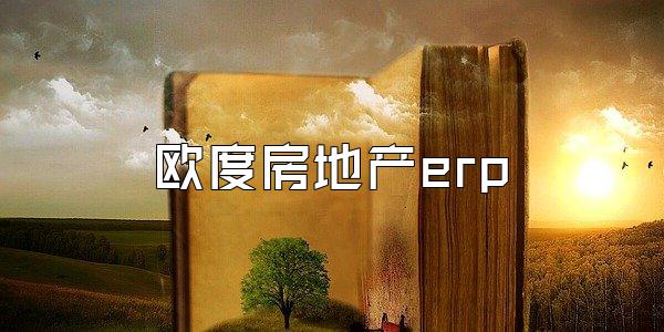 欧度房地产erp