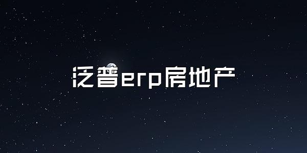 泛普erp房地产