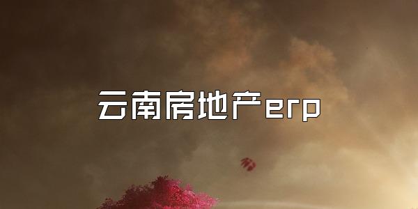 云南房地产erp