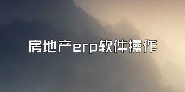 房地产erp软件操作