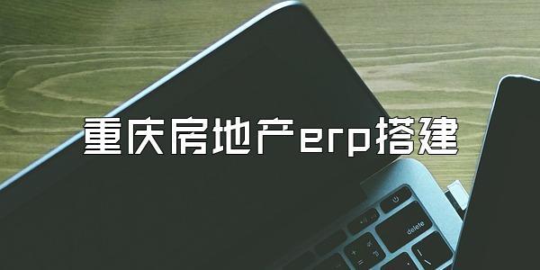 重庆房地产erp搭建