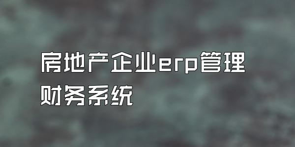 房地产企业erp管理财务系统