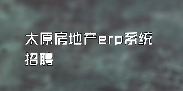 太原房地产erp系统招聘