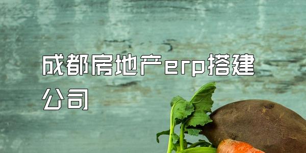 成都房地产erp搭建公司