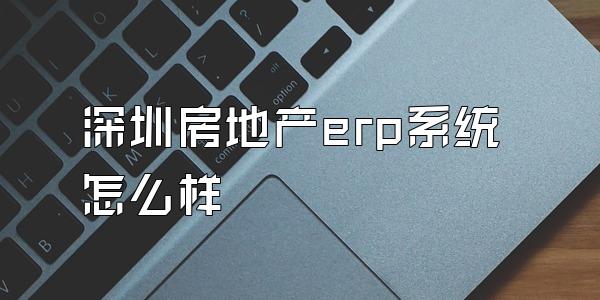 深圳房地产erp系统怎么样